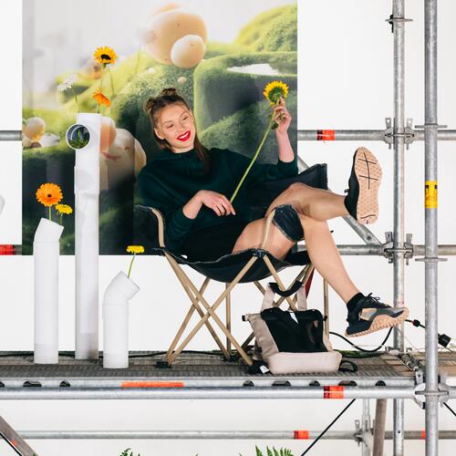 Sunflower | Deacthlon