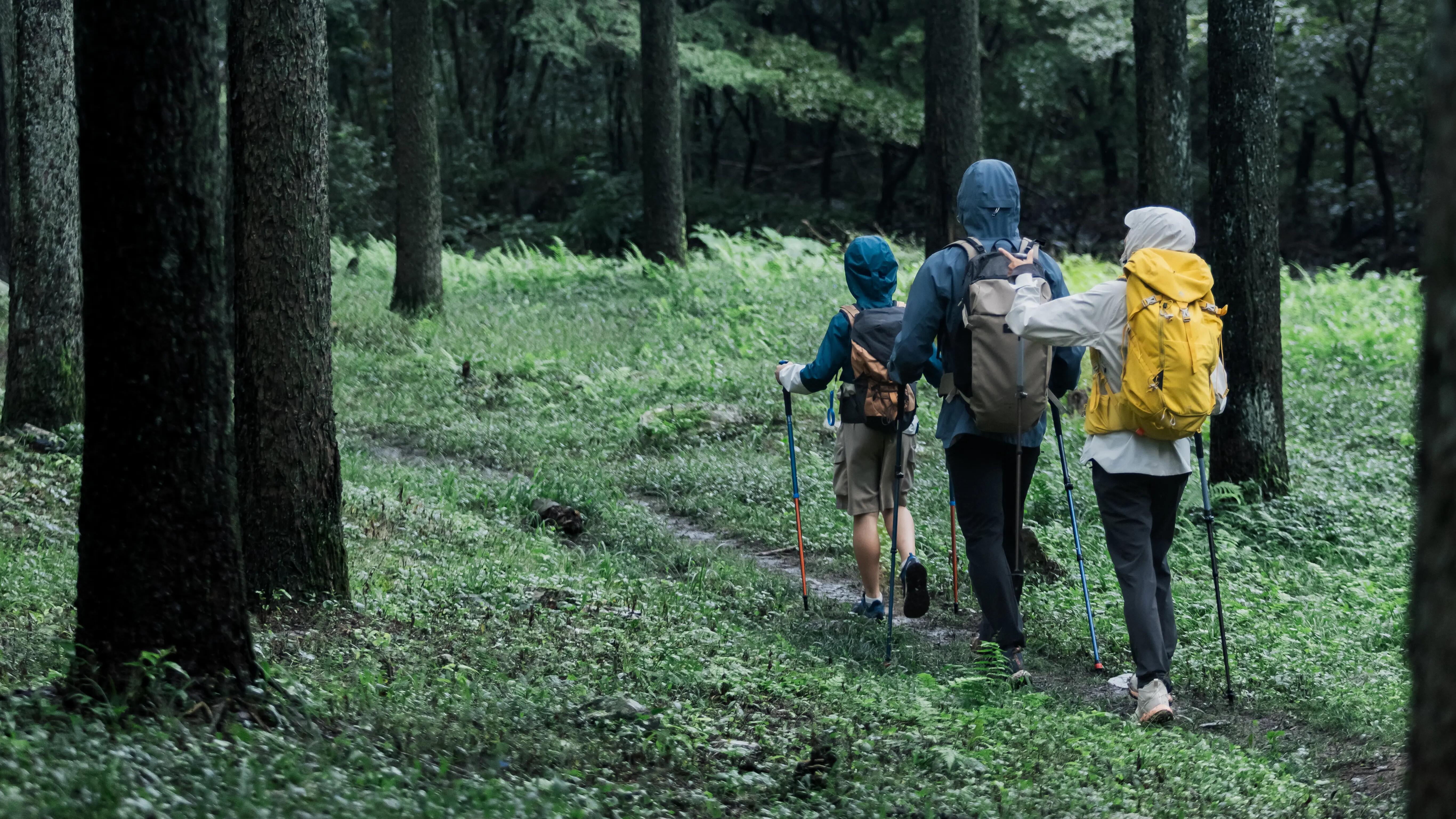 WIE BEFESTIGT MAN DIE WANDERSTÖCKE AN EINEM RUCKSACK?