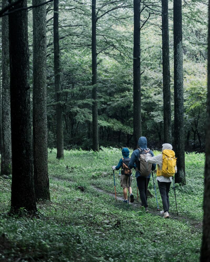 Art. card for colecciones/camino-santiago-a-caballo