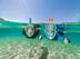 Comment choisir son masque de snorkeling ?