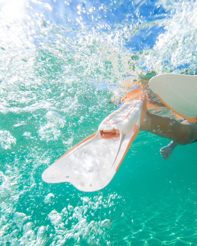 Schnorchelflosse unter Wasser mit Clippverschluss
