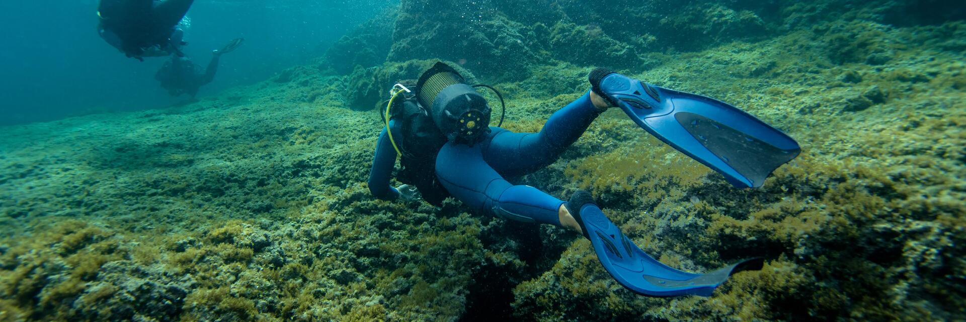 Person taucht im Meer mit Schwimmflossen