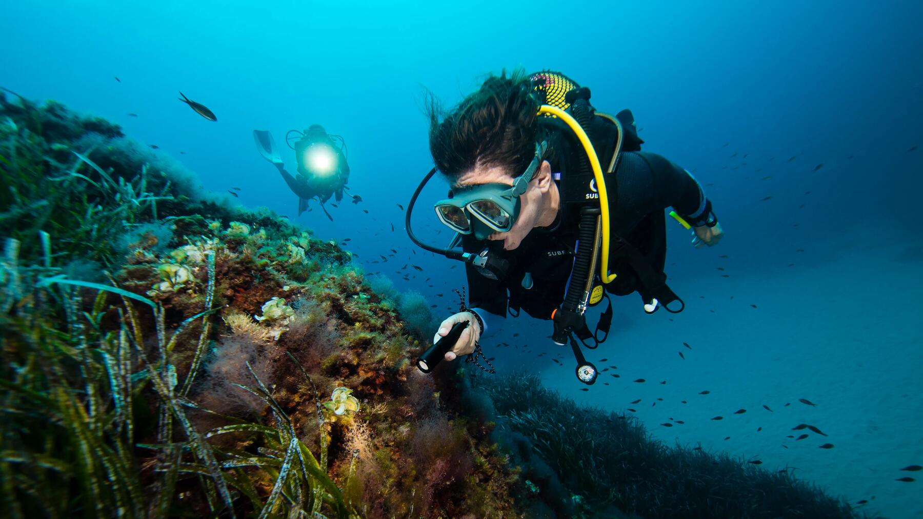 Scuba diving pentru începători: Ghid complet