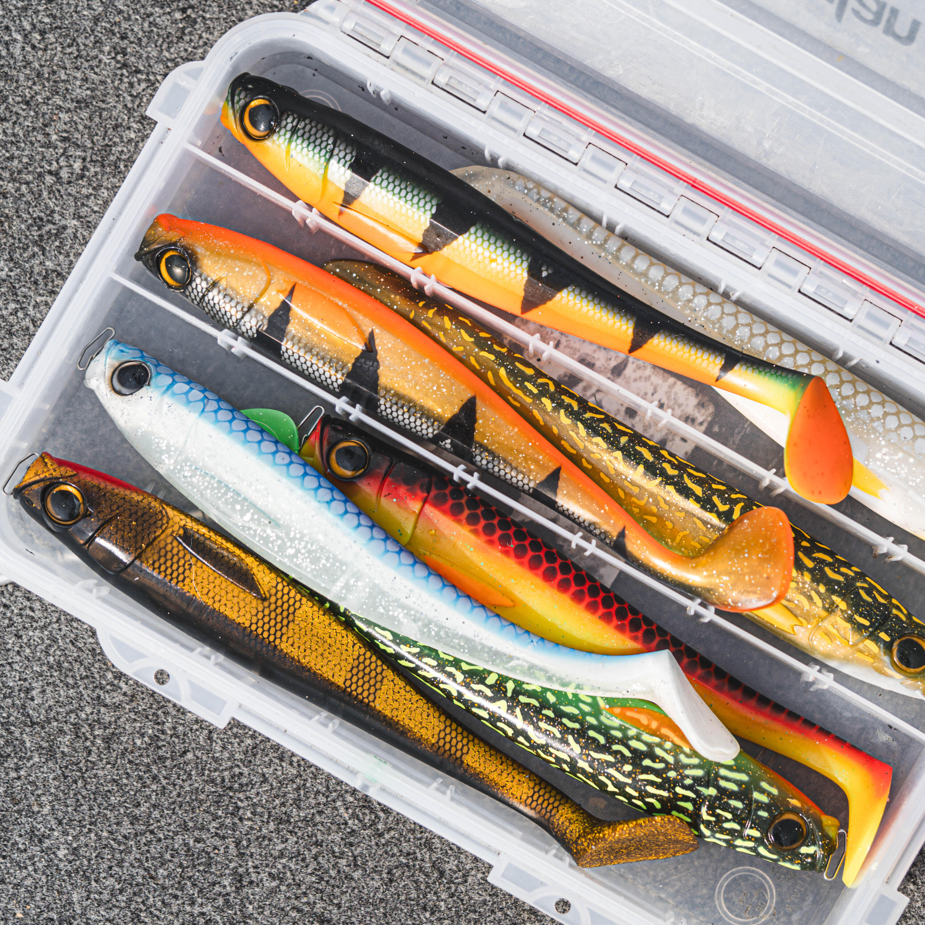 Rogen soft shad pike lure 250 perch x1 6/9