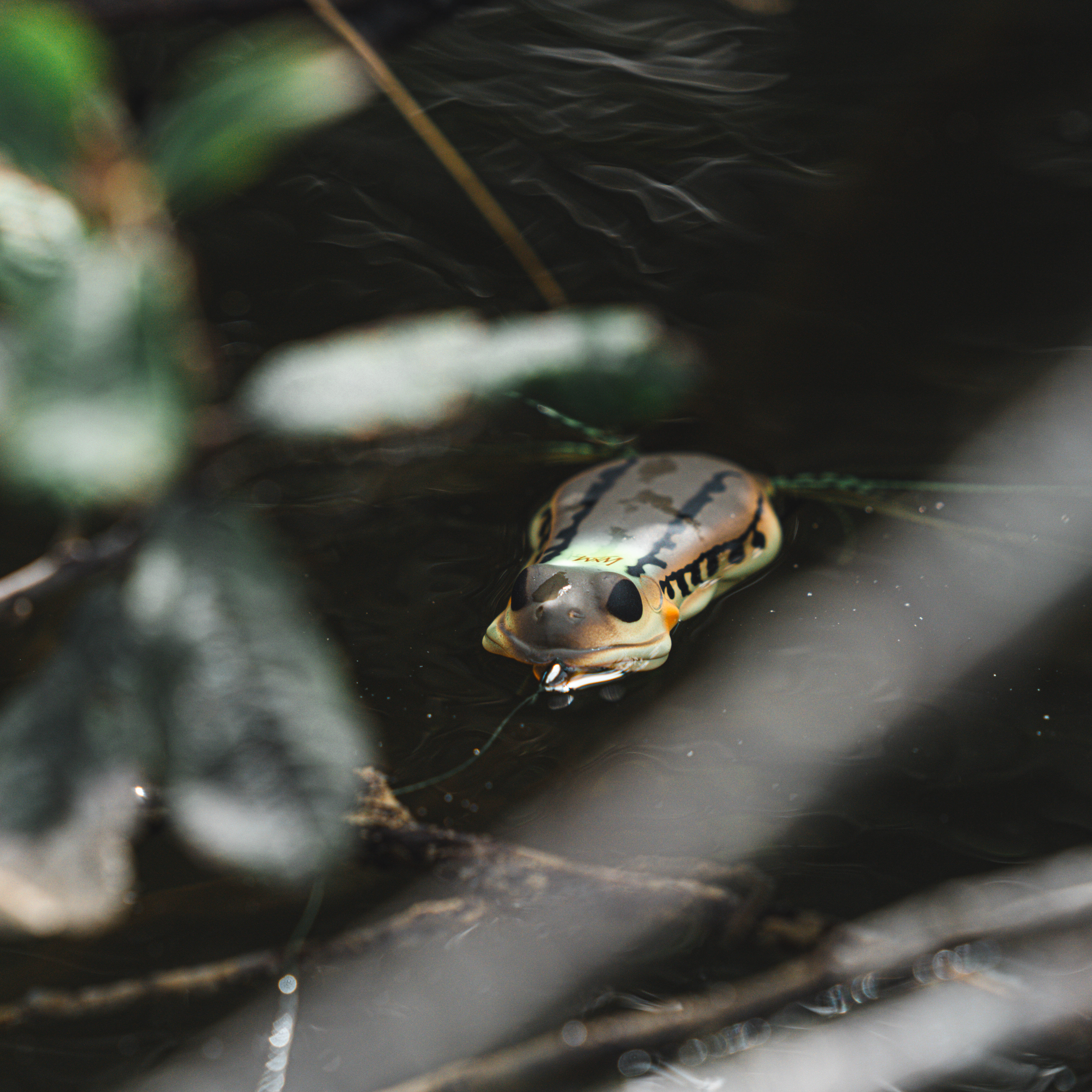 Leurre grenouille – 60 vert - CAPERLAN