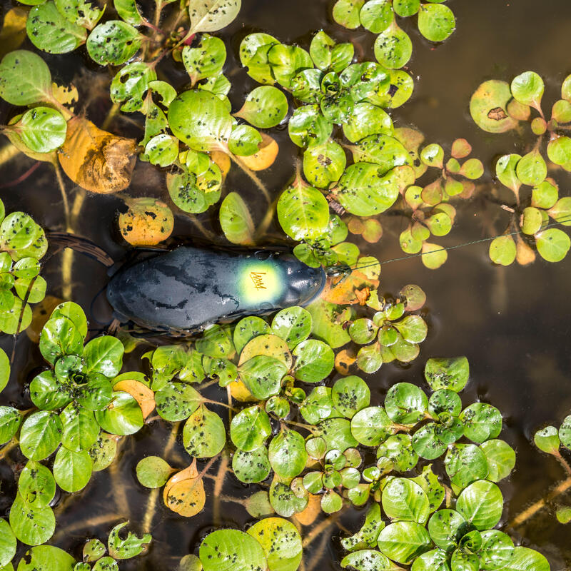 Kunstköder Frog 60 braun 