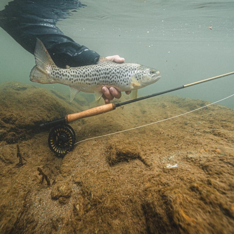 Wędka muchowa Caperlan HRK 10' 3/4 wt