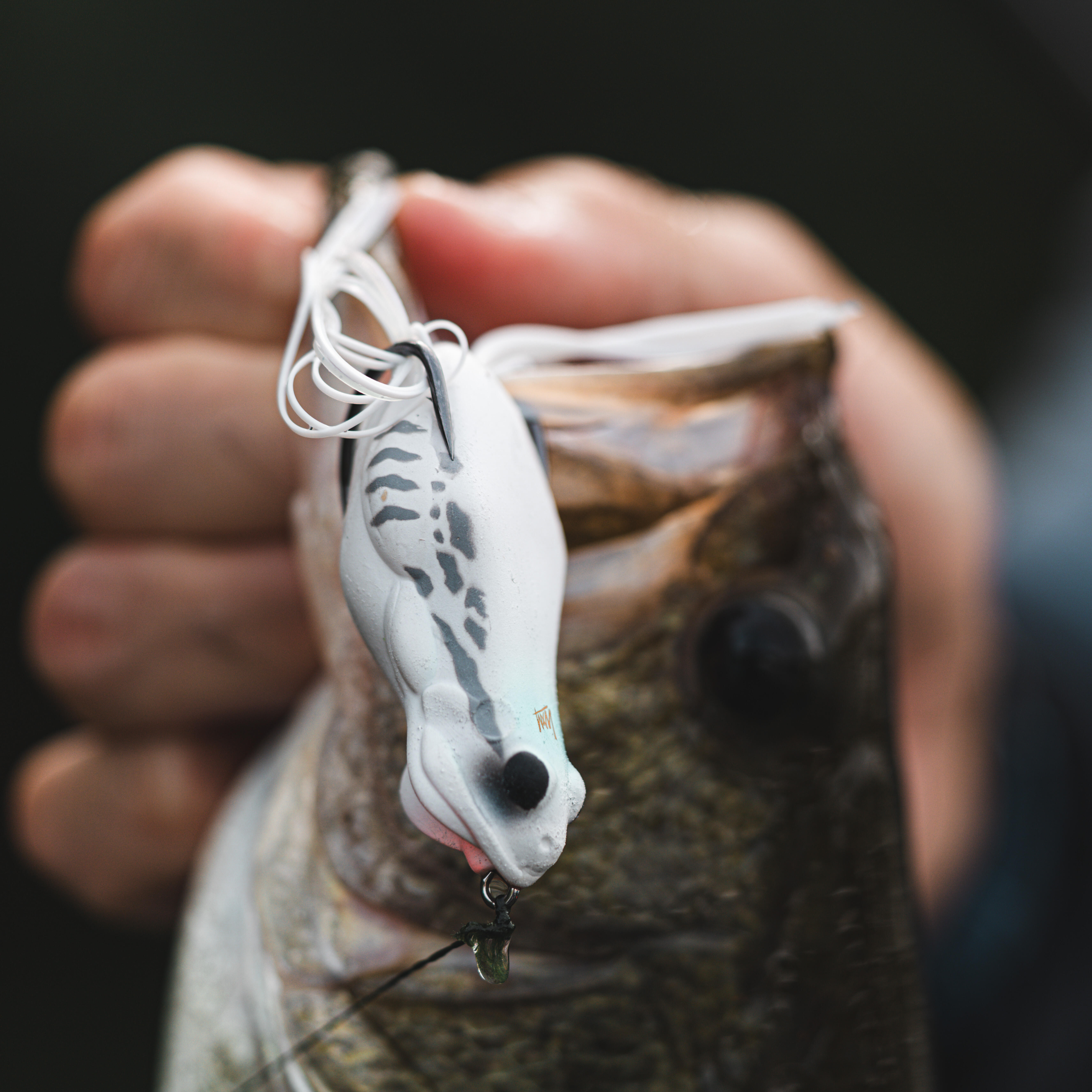 Frog Lure - FRG 60 White - CAPERLAN