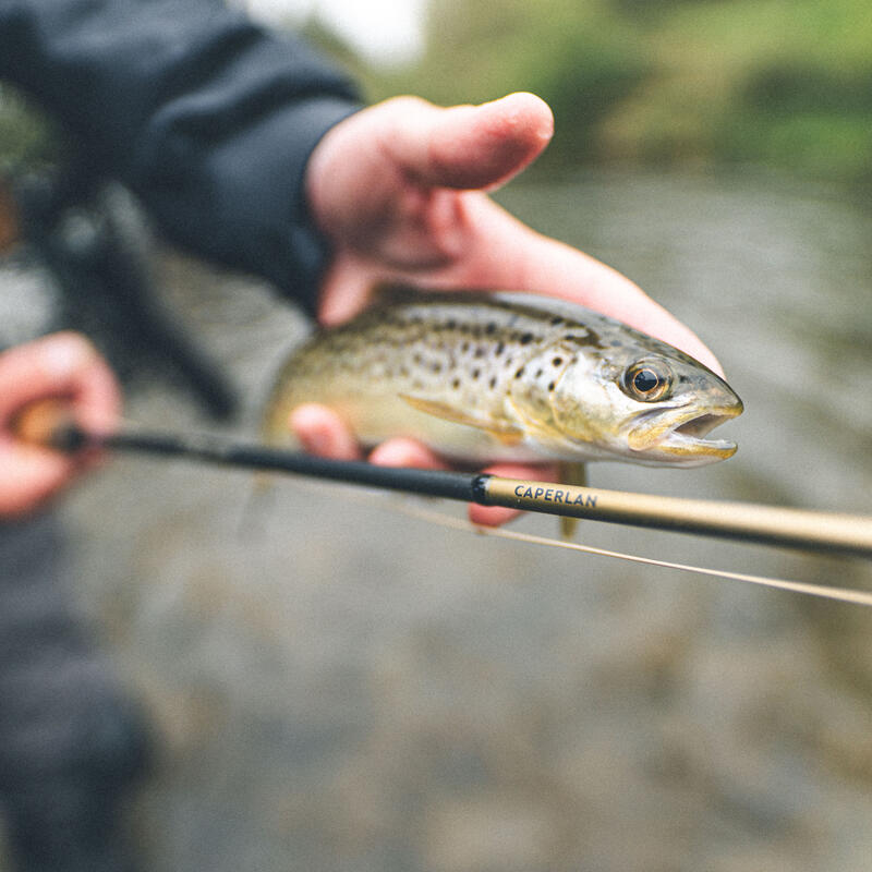 Legyező horgászbot - HRK 10' 3/4 wt