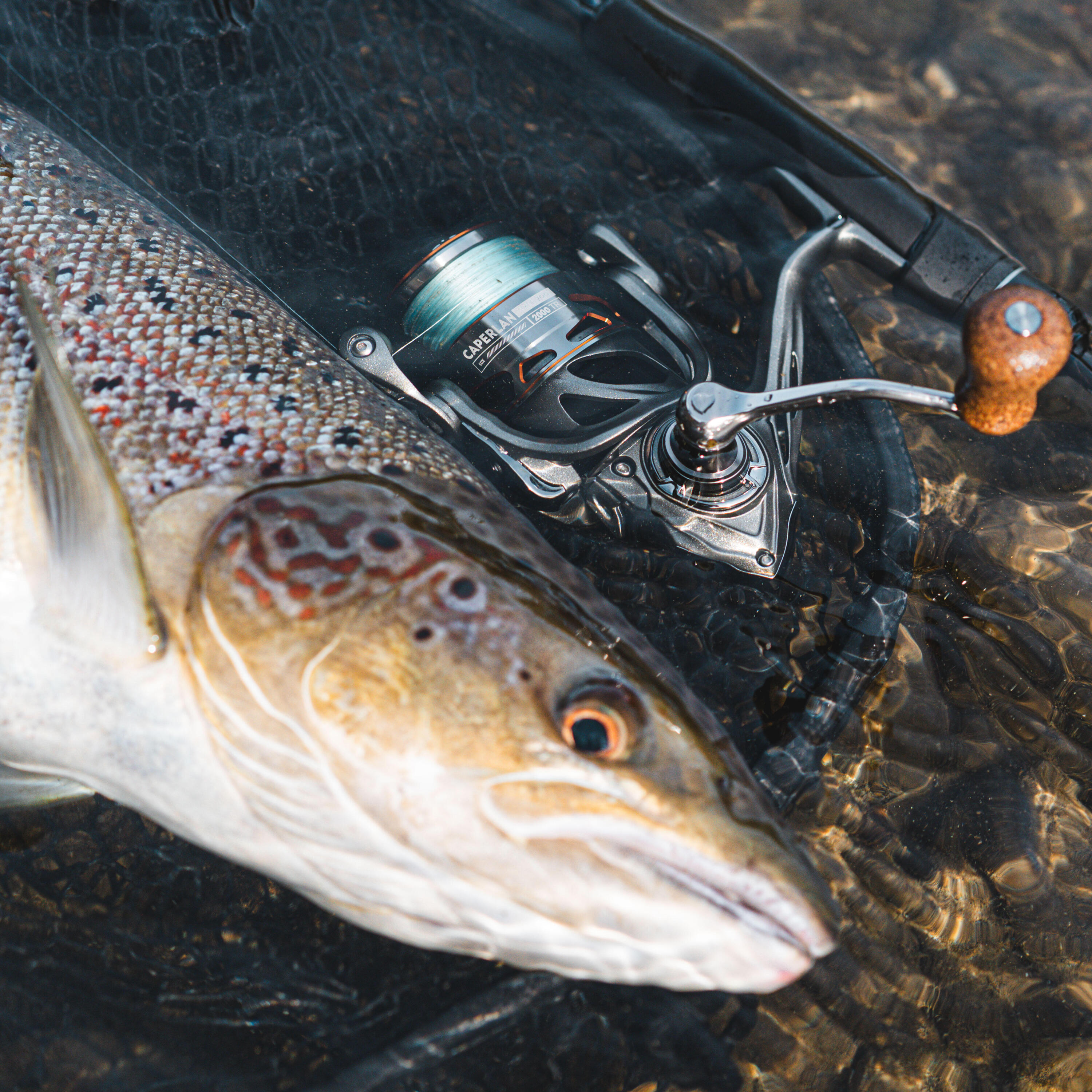 Carrete Pesca Señuelos Trucha WXM 700 2000 TR 13/15