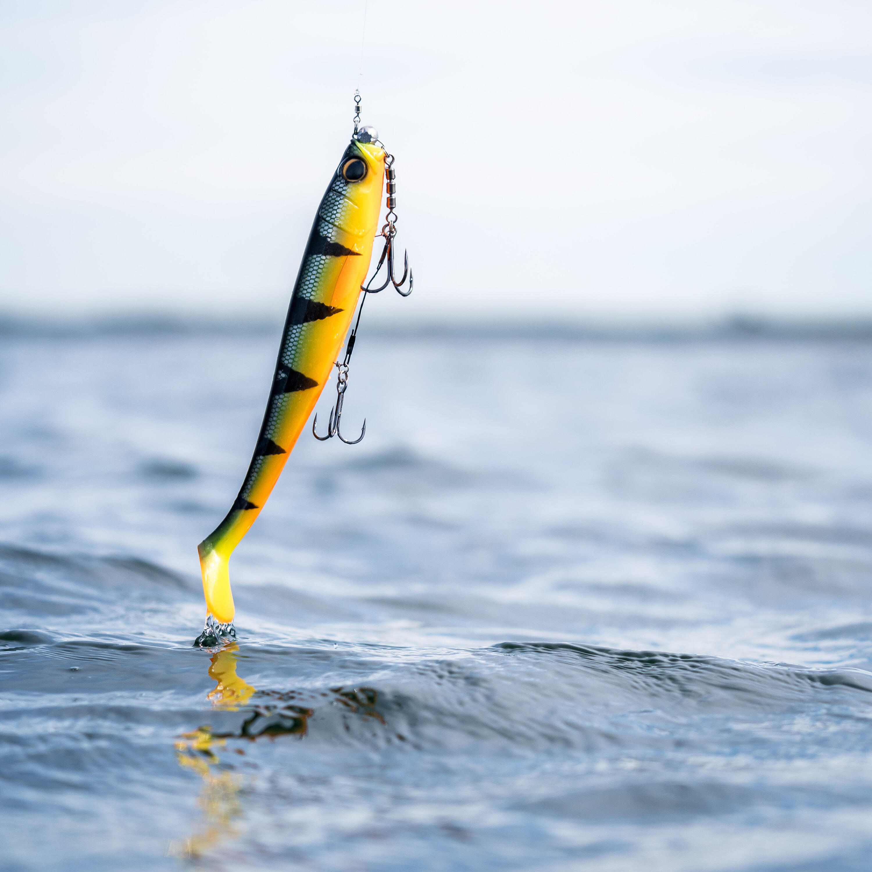 Gummiköder Shad Rogen 250 Firetiger 1 Stk. für Hechte 7/9