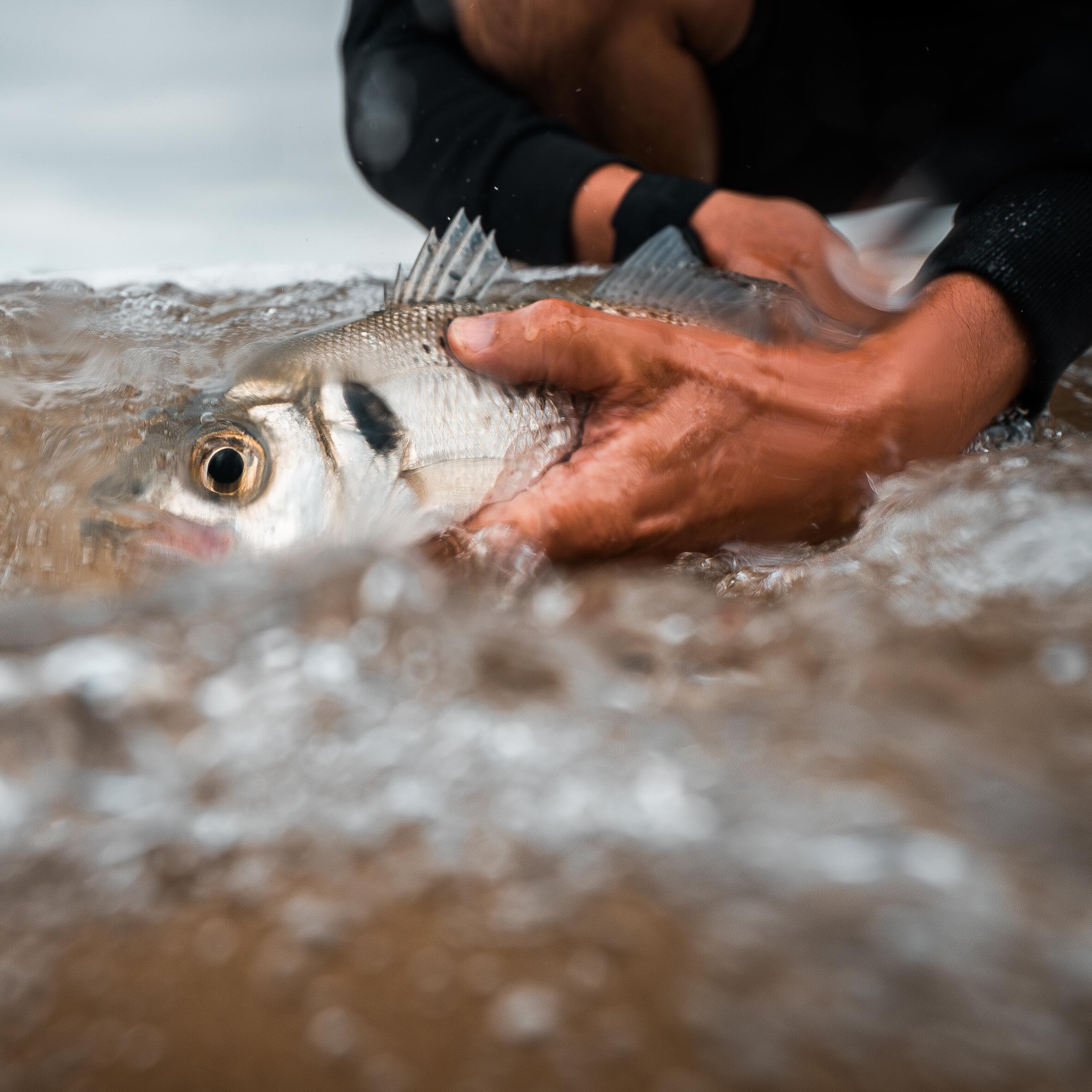 Caña Pesca Surfcasting Mar Symbios 500 500 100-200 g 16/17