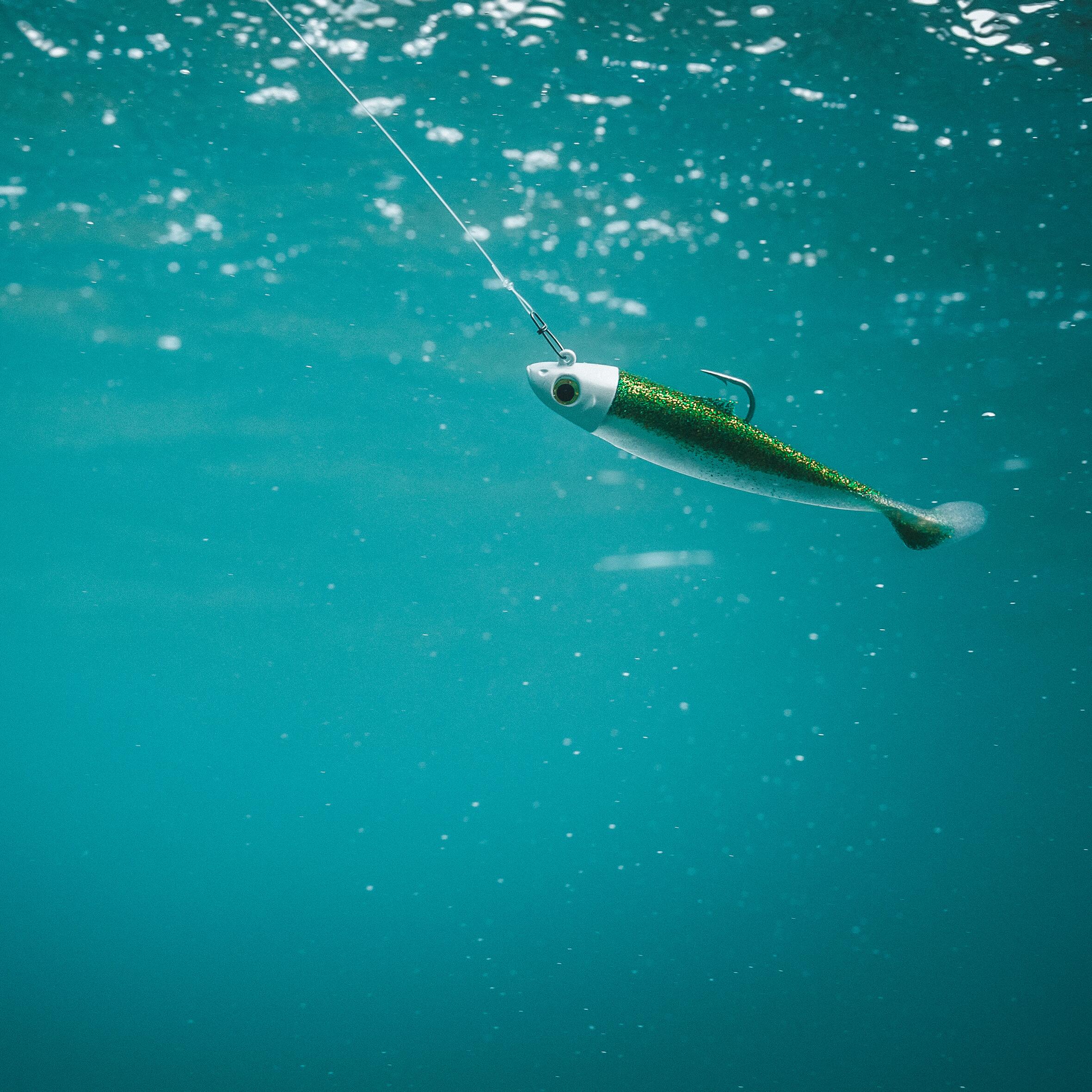 Amostras Flexíveis Pesca Shad OSARDA 100 Azul/Verde Brilhante (Conjunto) 12/17