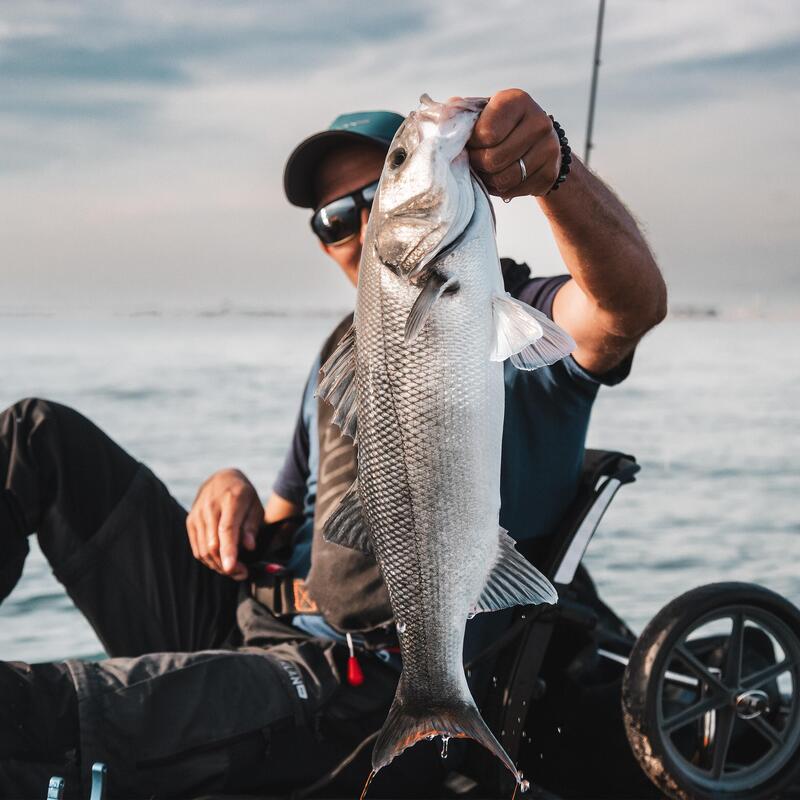 COMBO leurres souples Shad OSARDA 80 Bleu/Vert pailleté