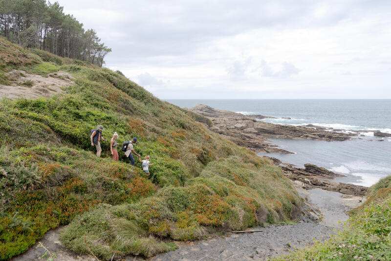 Wandelen in Zeeland, ontdek de mooiste routes