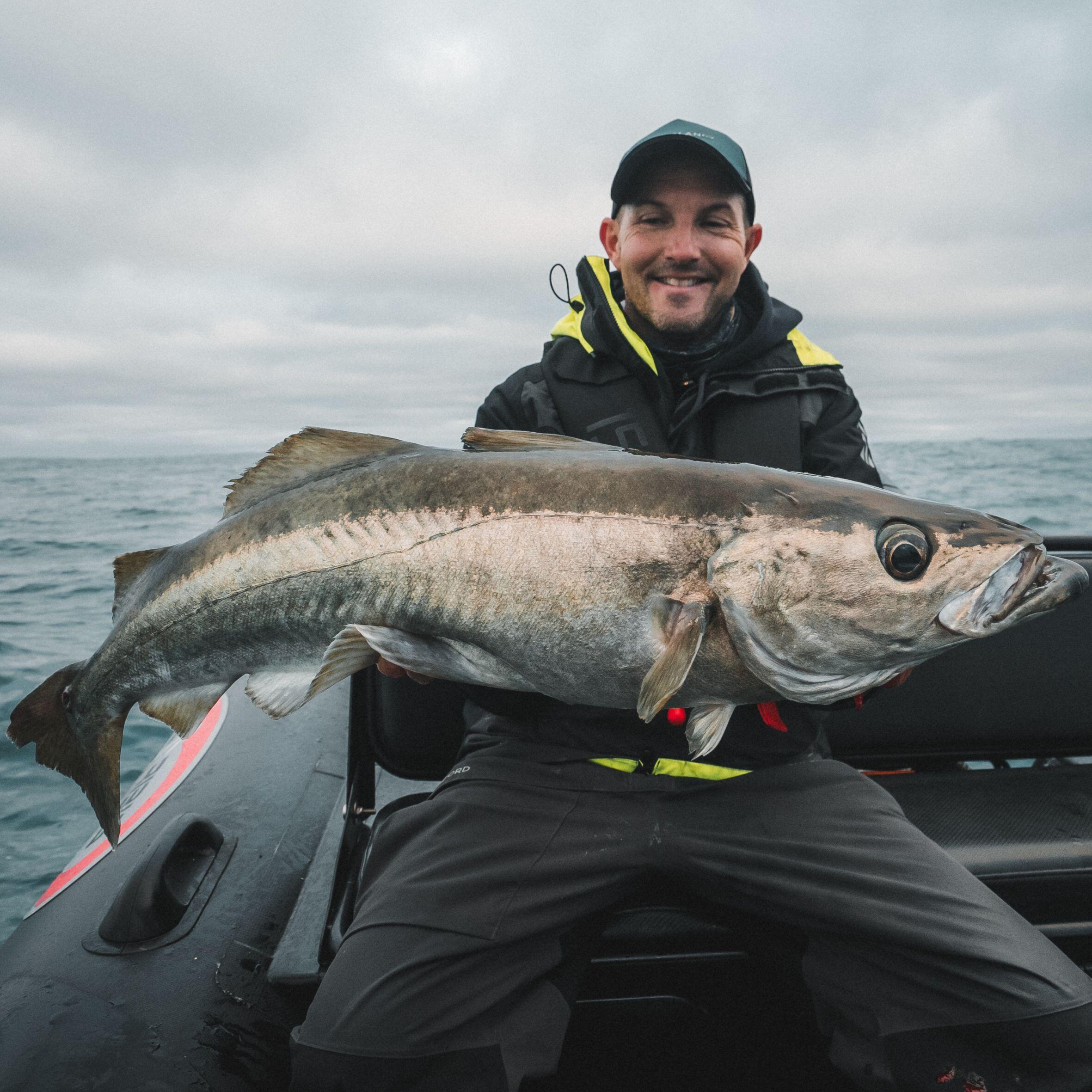 Amostras Flexíveis Pesca ShadTexan Anchova Combo Ancho 150 80g Amarelo/Rosa Néon 13/13