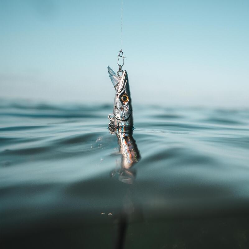 Jerkbait pêche au leurre en mer JERKUDA 170SP Barracuda