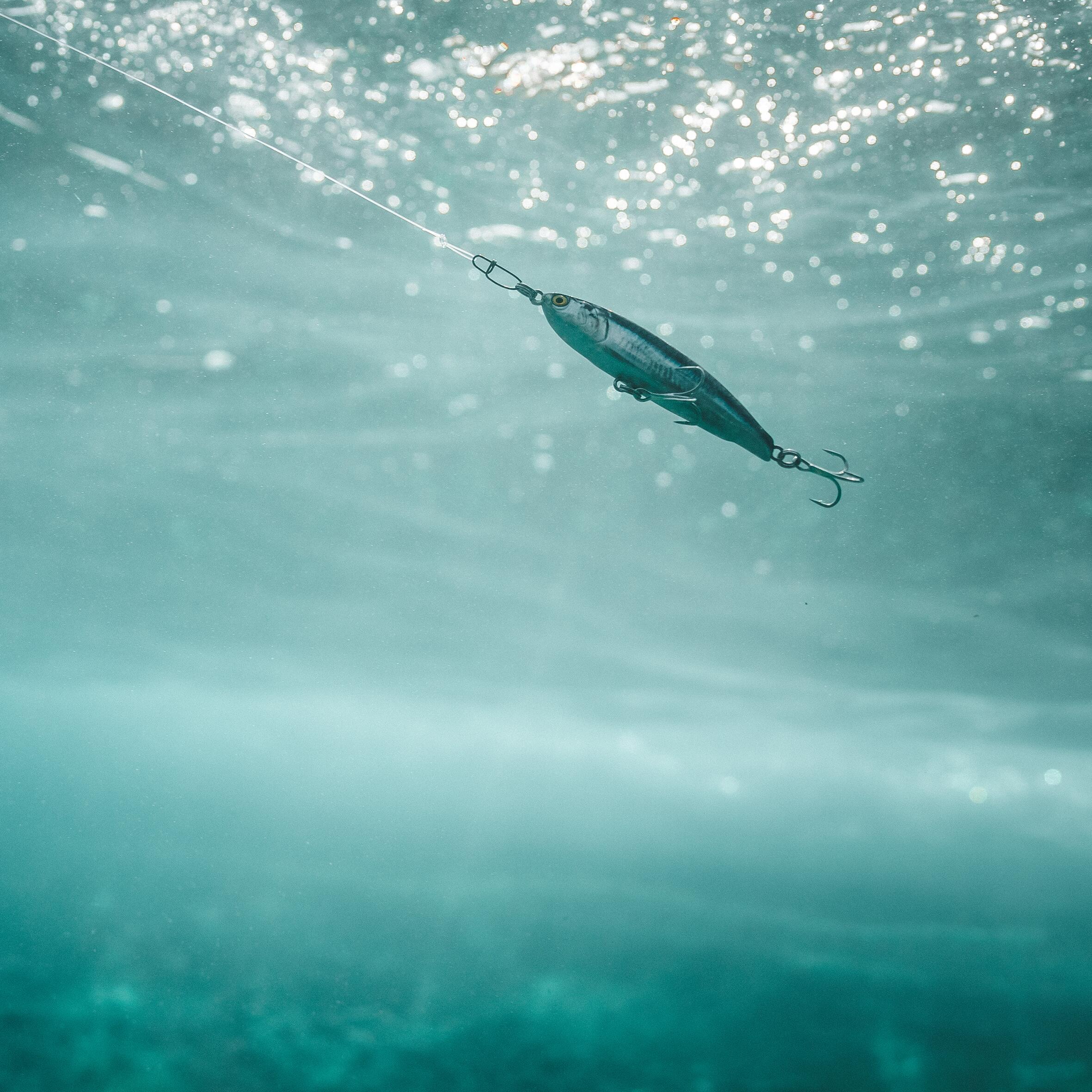 Poisson nageur lipless minnow ANCHO LM 60 Anchois 9/9