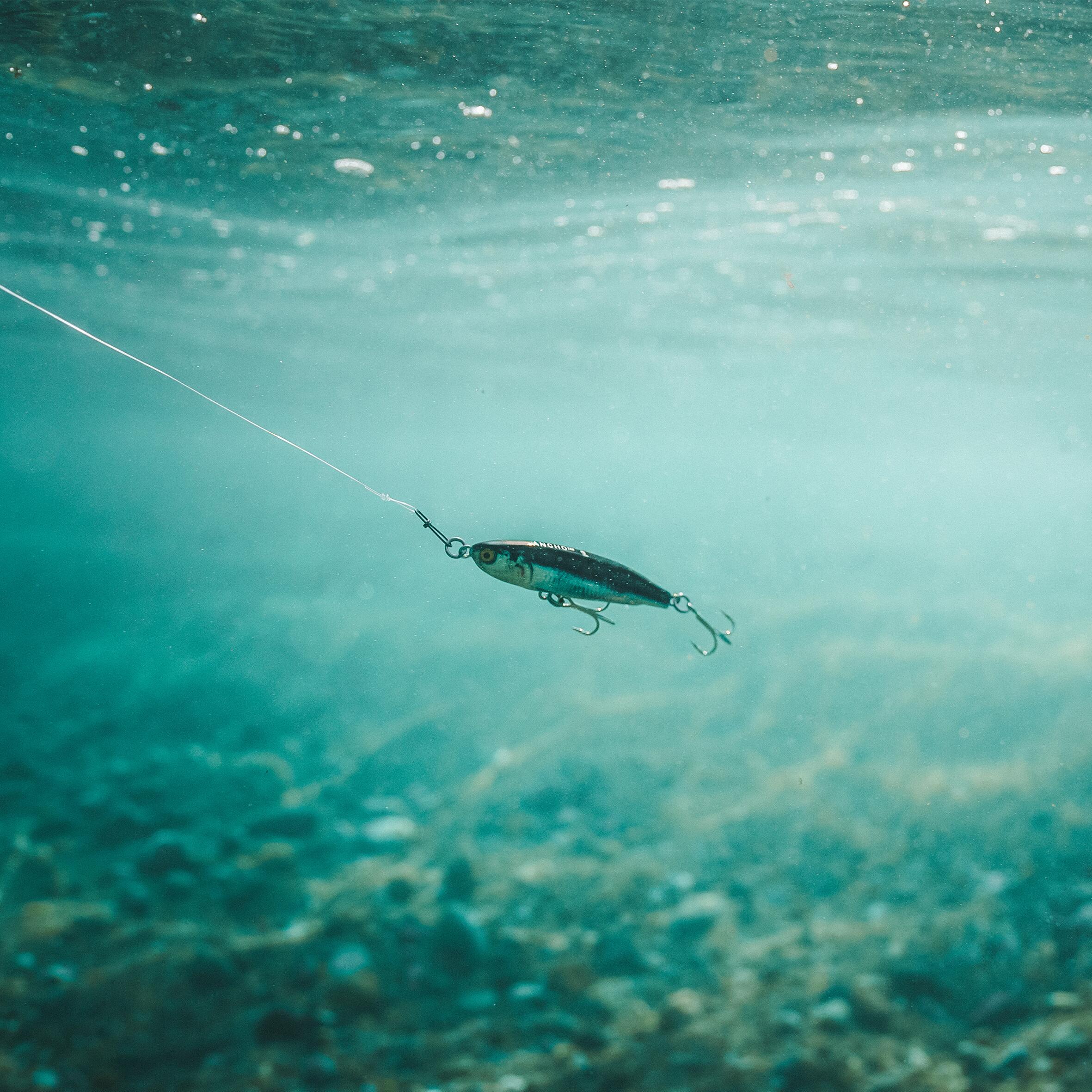 Poisson nageur lipless minnow ANCHO LM 60 Anchois 8/9