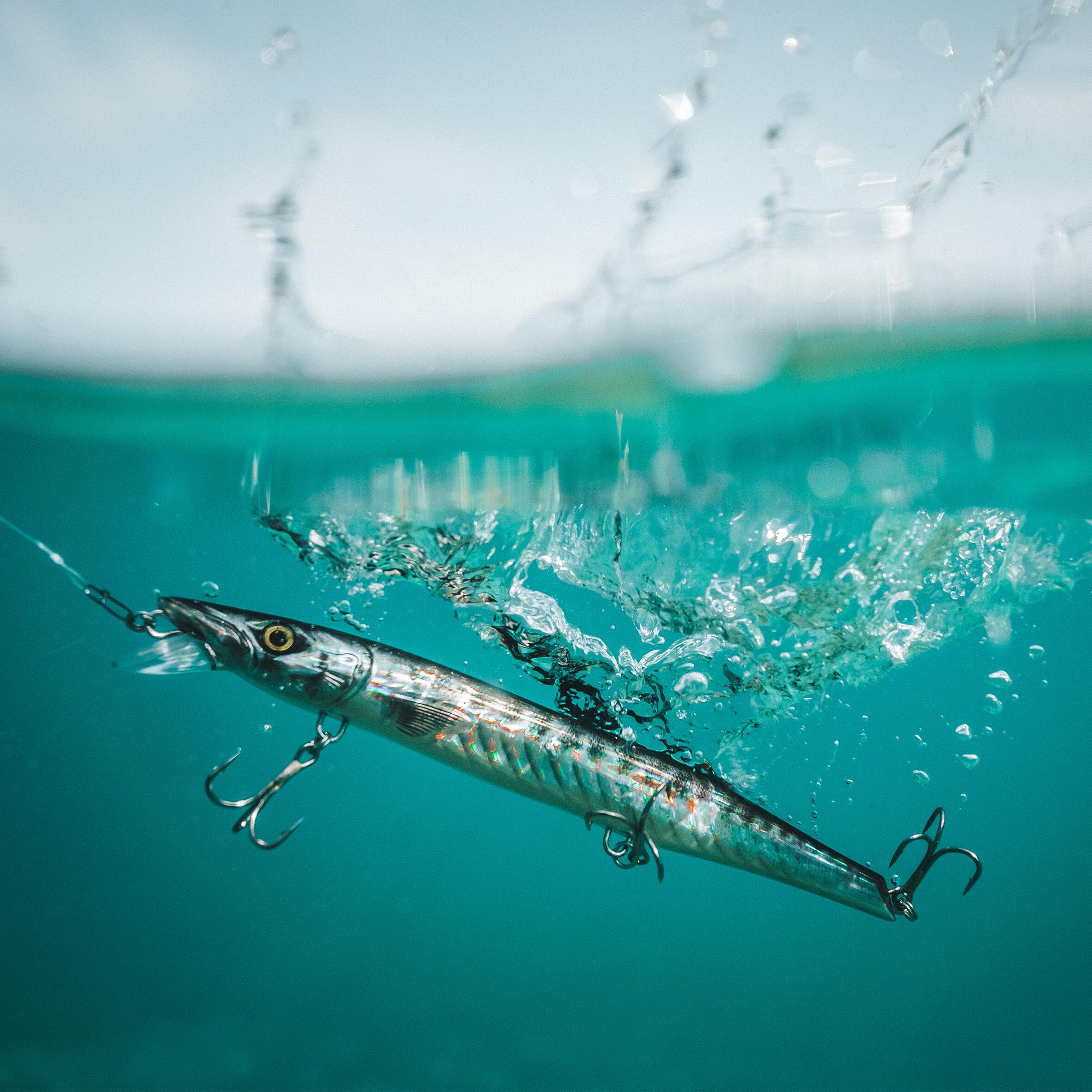 Jerkbait pêche au leurre en mer JERKUDA 170SP Barracuda 6/10