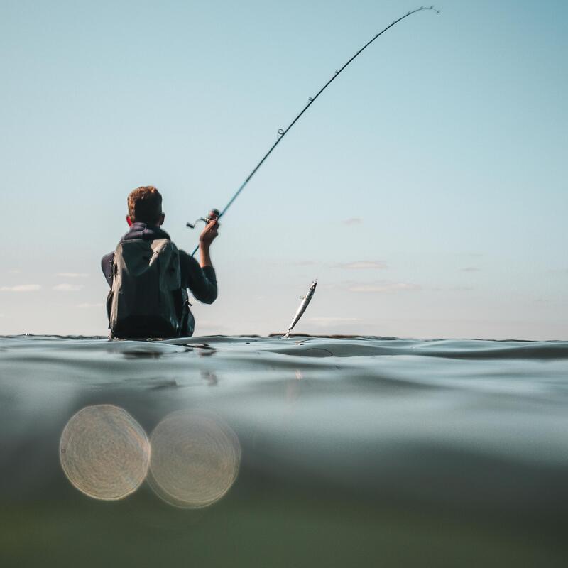 Jerkbait pêche au leurre en mer JERKUDA 170SP Barracuda