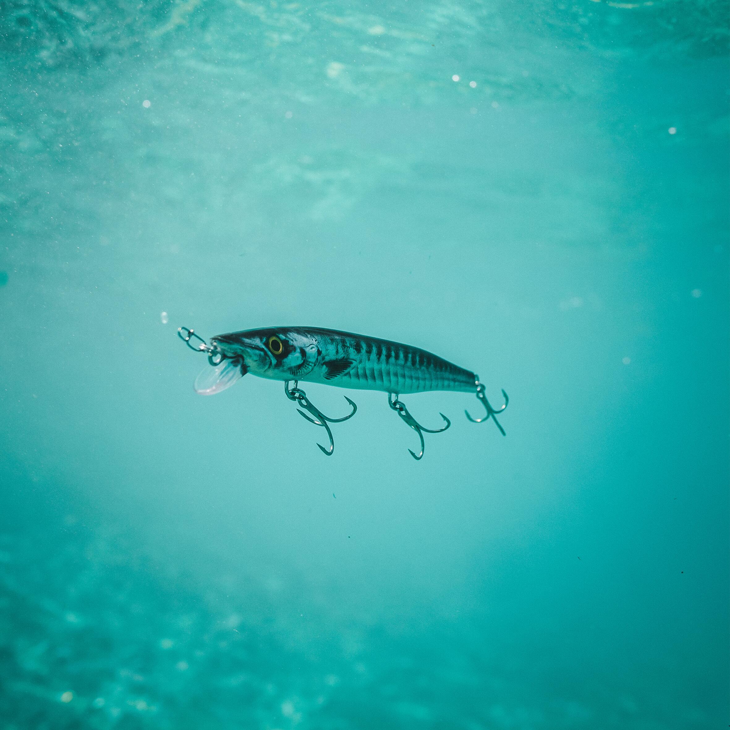 Jerkbait pêche au leurre en mer JERKUDA 170SP Barracuda 8/10