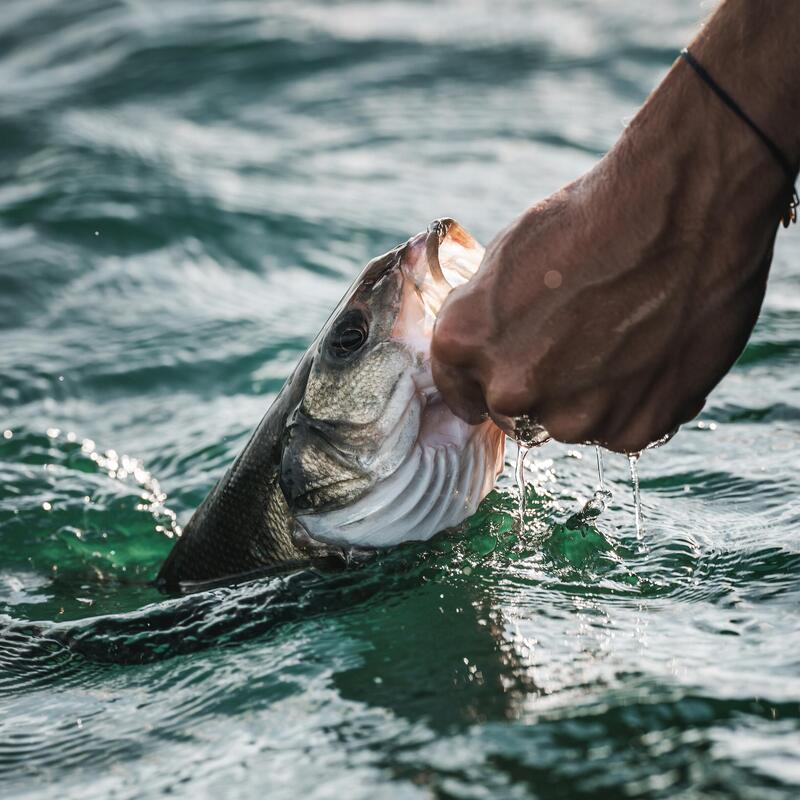 Casting jig voor vissen met kunstaas in zee Biastos Fast Assist 10 g Mack groen