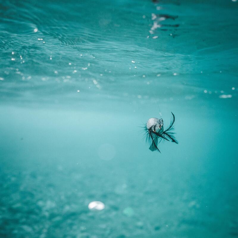 Turlutte coulante shallow EBIKA 3.0/120 Mulet pêche des seiches/calamars