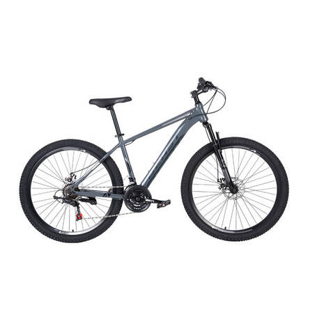 MTB ALTON BEAST S - GREY SILVER