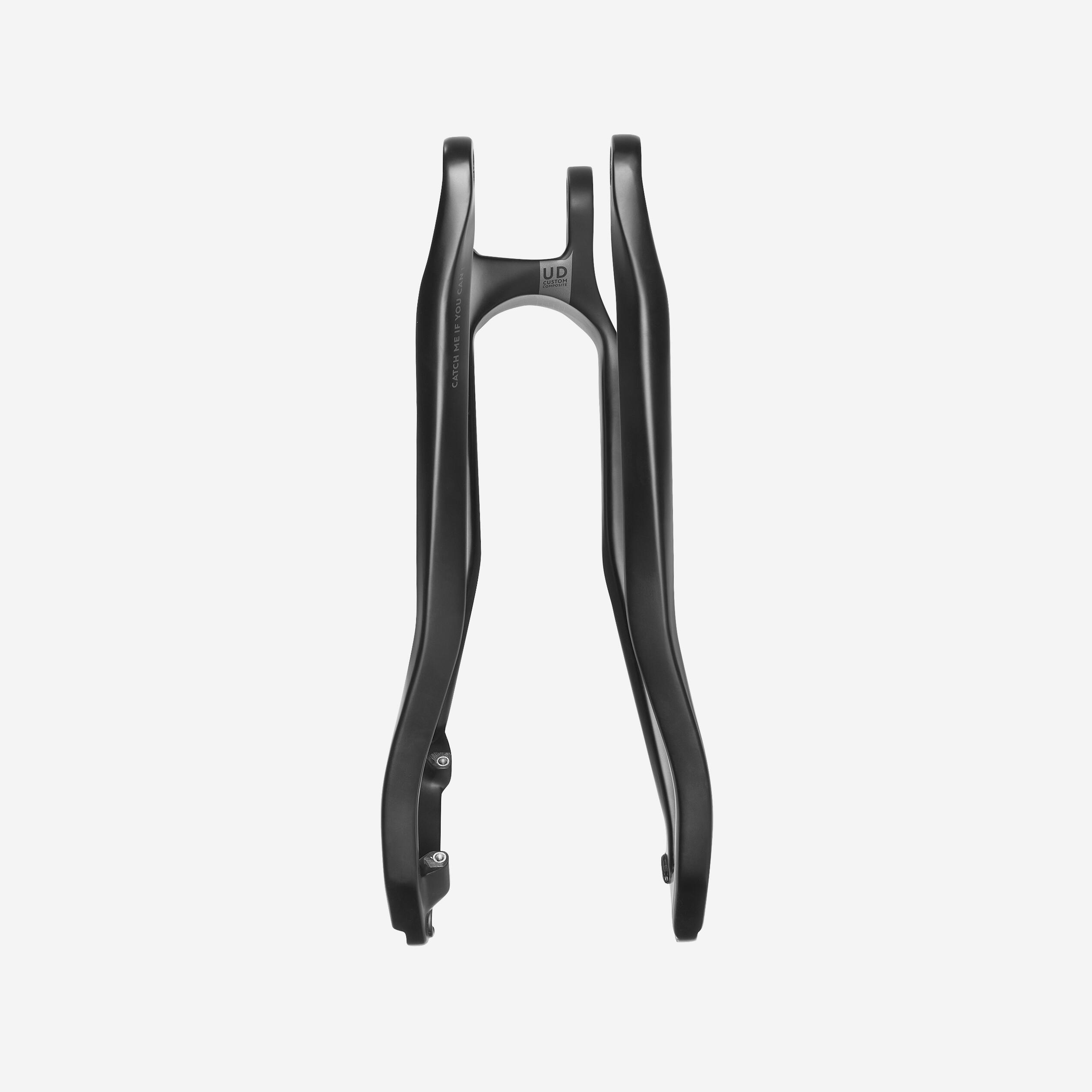 TRIANGLE ARRIERE CARBONE EXPSCC20 _ COMPATIBLE EXPSC19 POUR UPGRADE 7/7