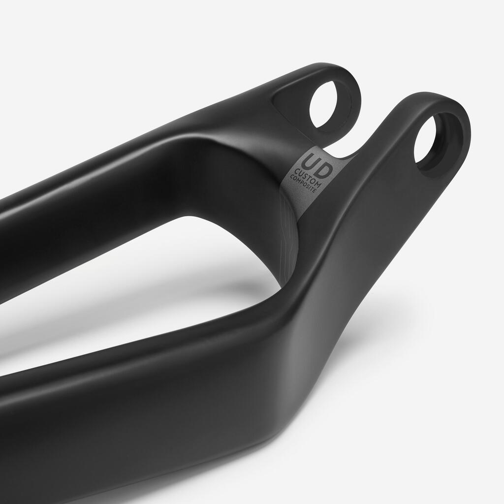 Hinterbau Carbon kompatibel mit EXPSC19 für Upgrade - EXPSCC20 