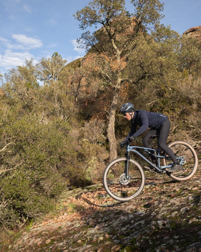 PLP Article Card Mountain Bikes