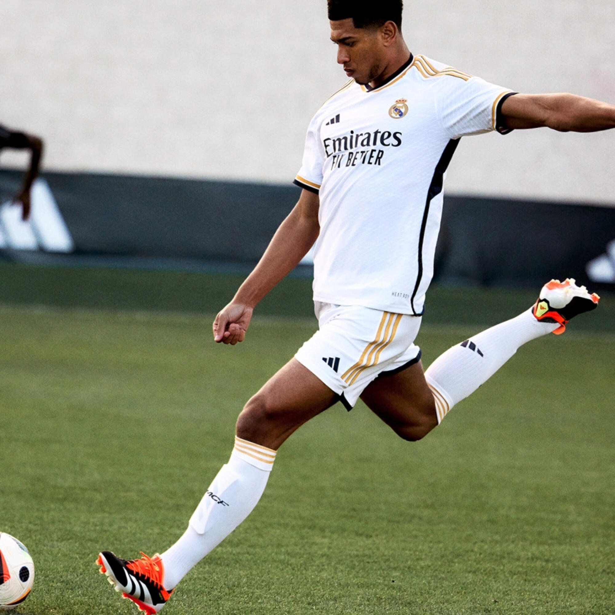 decathlon predator adidas