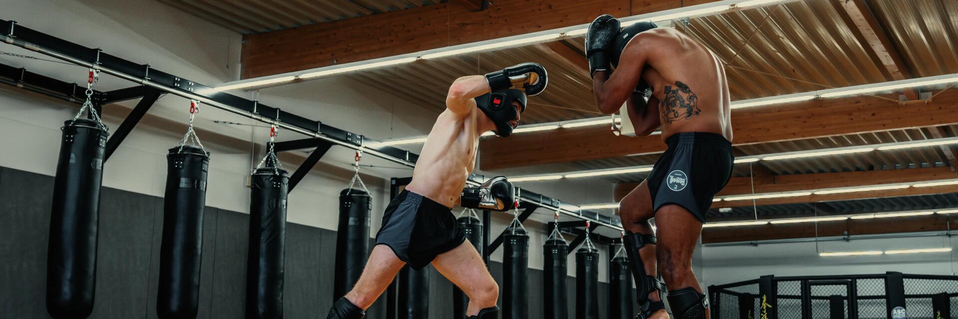 Zwei Boxer trainieren mit Boxsäcken im Hintergrund