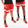 Short baloncesto NBA Chicago Bulls hombre/mujer - SH 900 AD Rojo