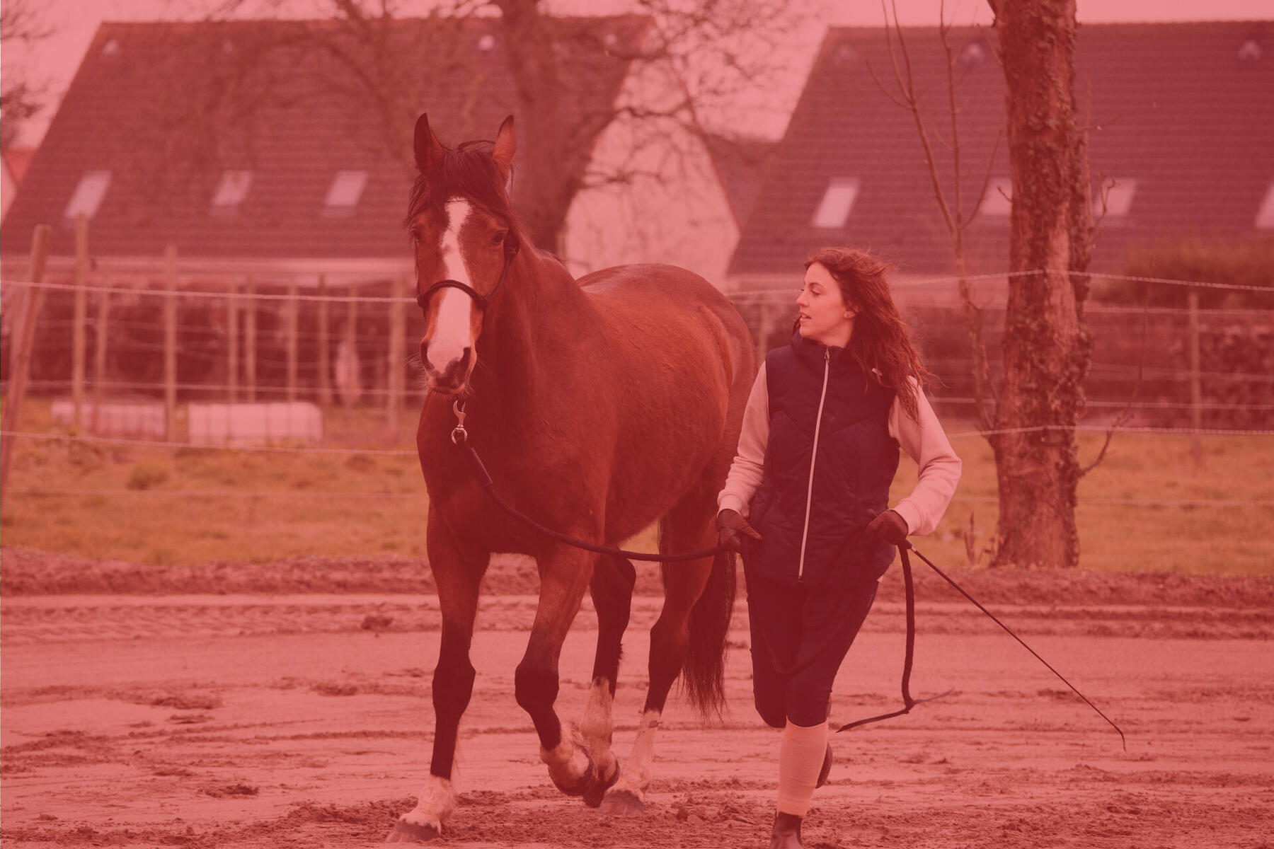 Grundlagen fürs Hängertraining mit Pferd