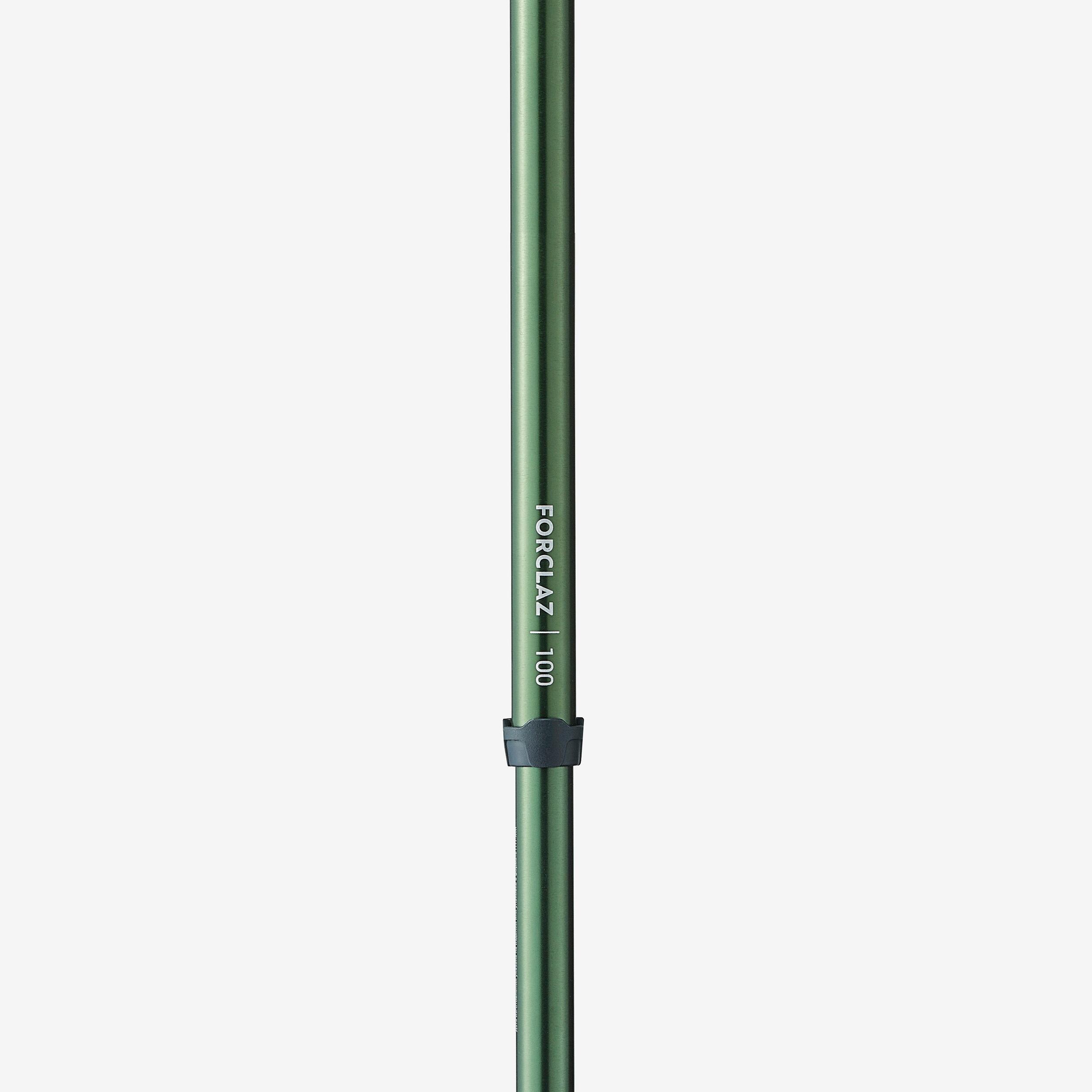 Bâton de randonnée ergonomique – MT 100 - FORCLAZ