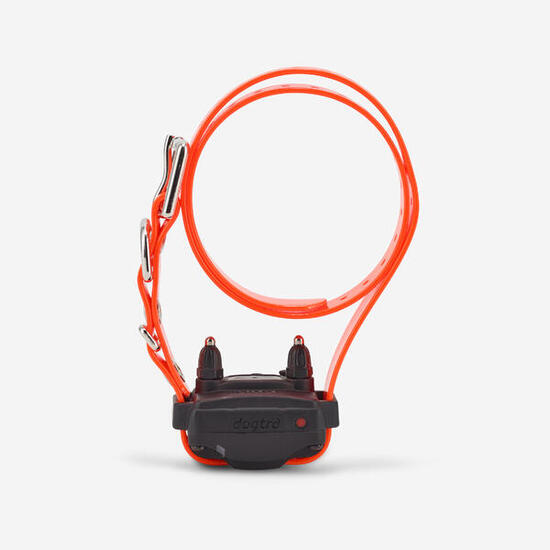 Collier supplémentaire de dressage pour chien dogtra 610c.
