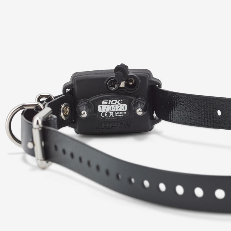 Pack collier + télécommande de dressage pour chien 610c