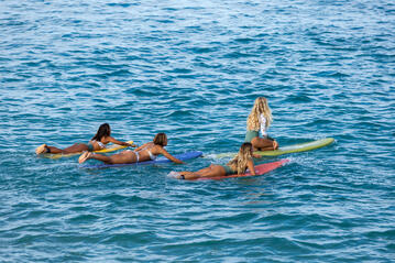 Surf