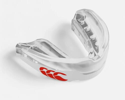 PROTEGE DENTS 500 V2