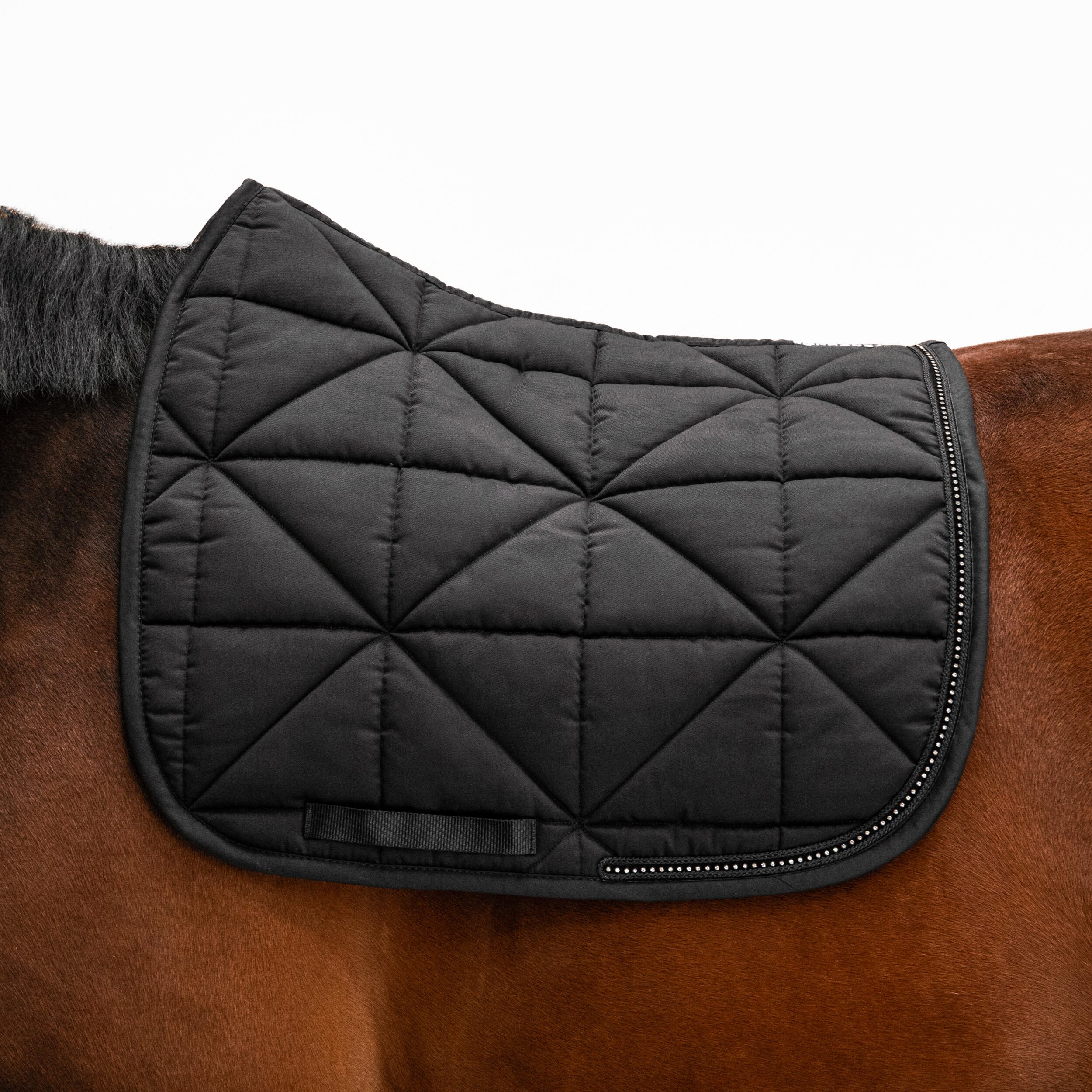 Horse Dressage Saddle Cloth 500 - Black 1/6