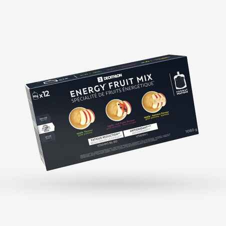 Sadni pripravek ENERGY FRUIT MIX (12 X 90 g)