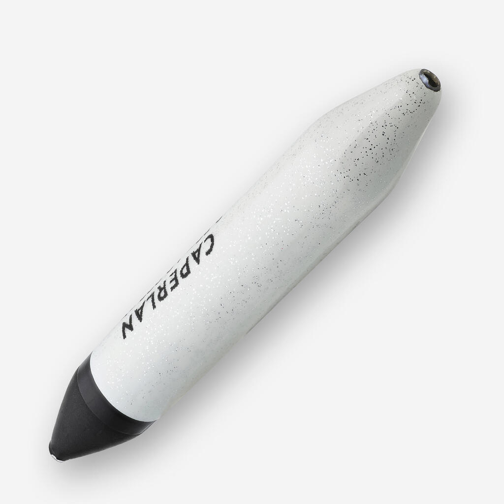 Komplet plovaka za ribolov šarana PF-F900 C12