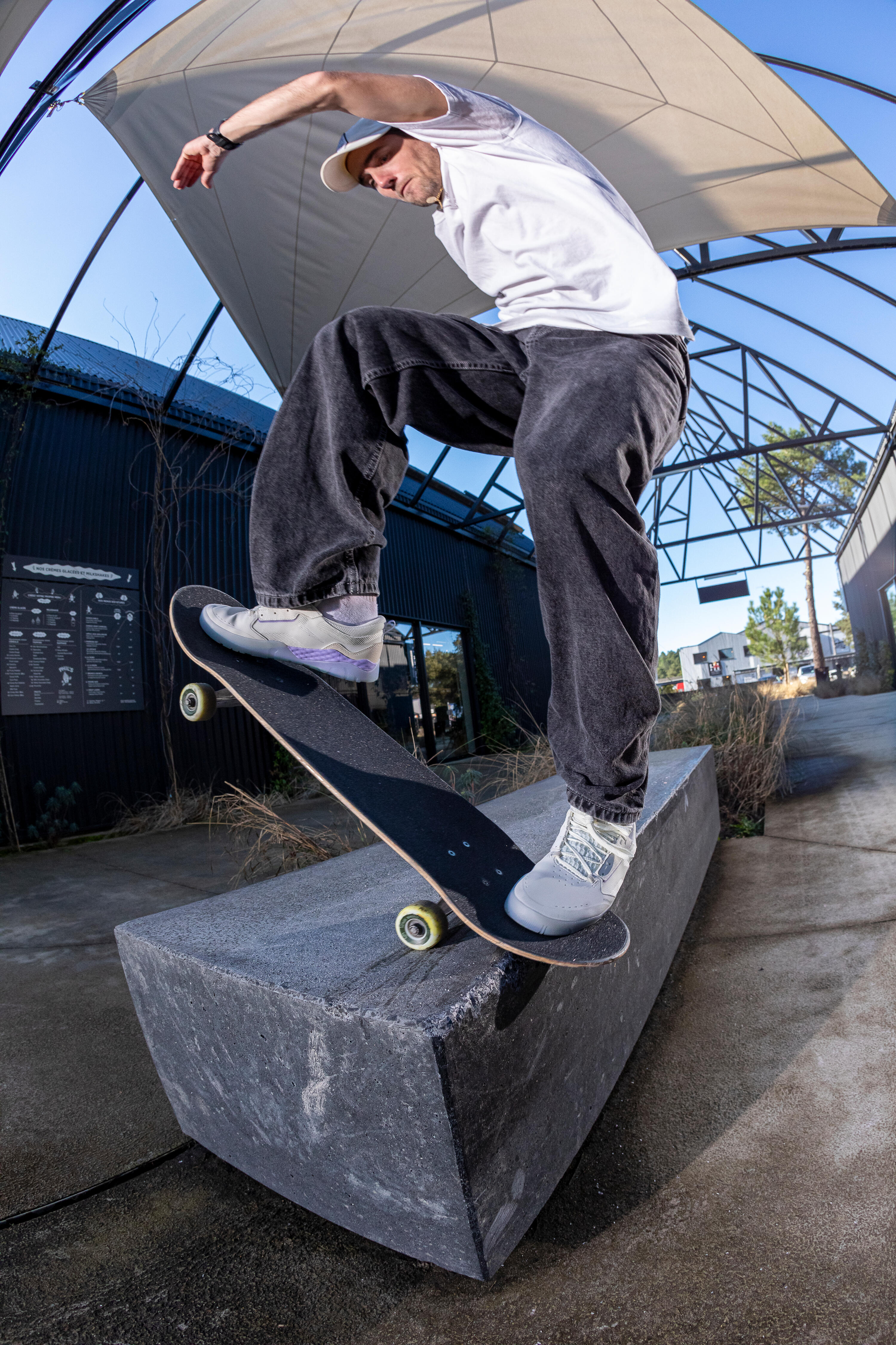 ZAPATILLAS DE SKATEBOARD CRUSH900 JOSEPH GARBACCIO PRO BLANCO VIOLETA 16/17