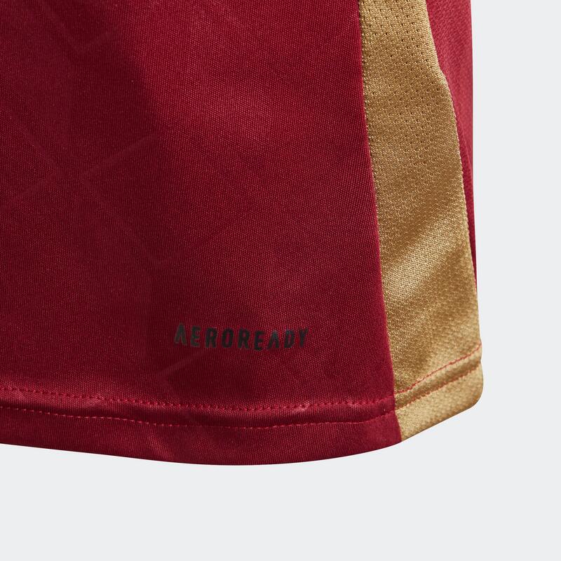 Maillot domicile Belgique Enfant