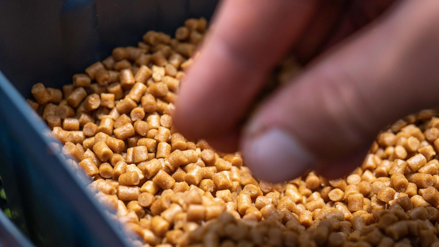 Ręka sięgająca po pellet w skrzynce
