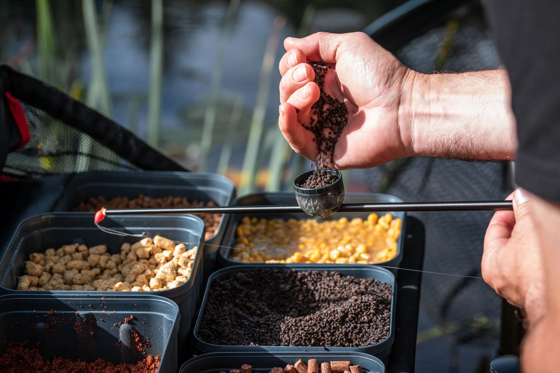 cebo para pesca al coup