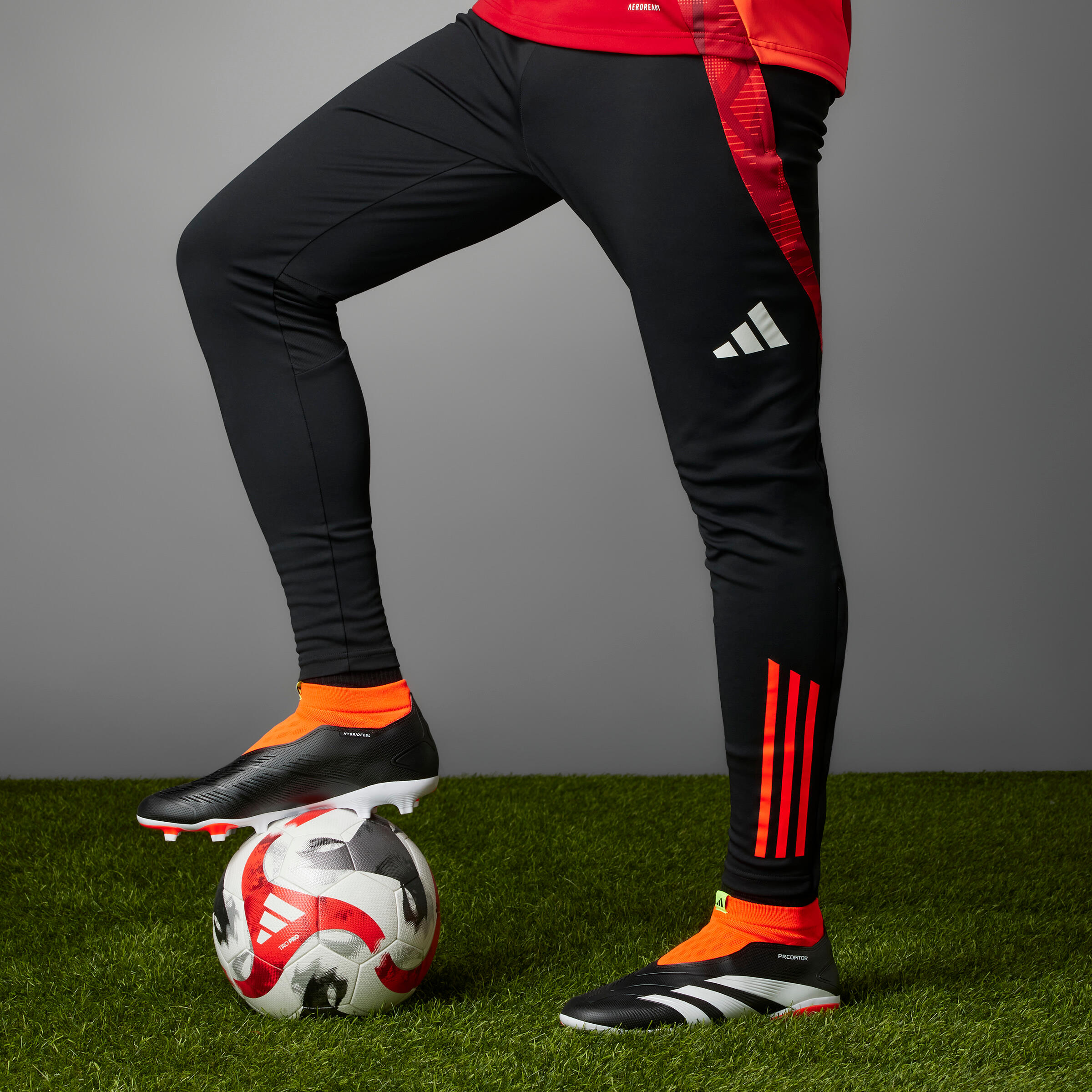 Chuteiras de futebol adidas Predator league Laceless Adulto 10/12