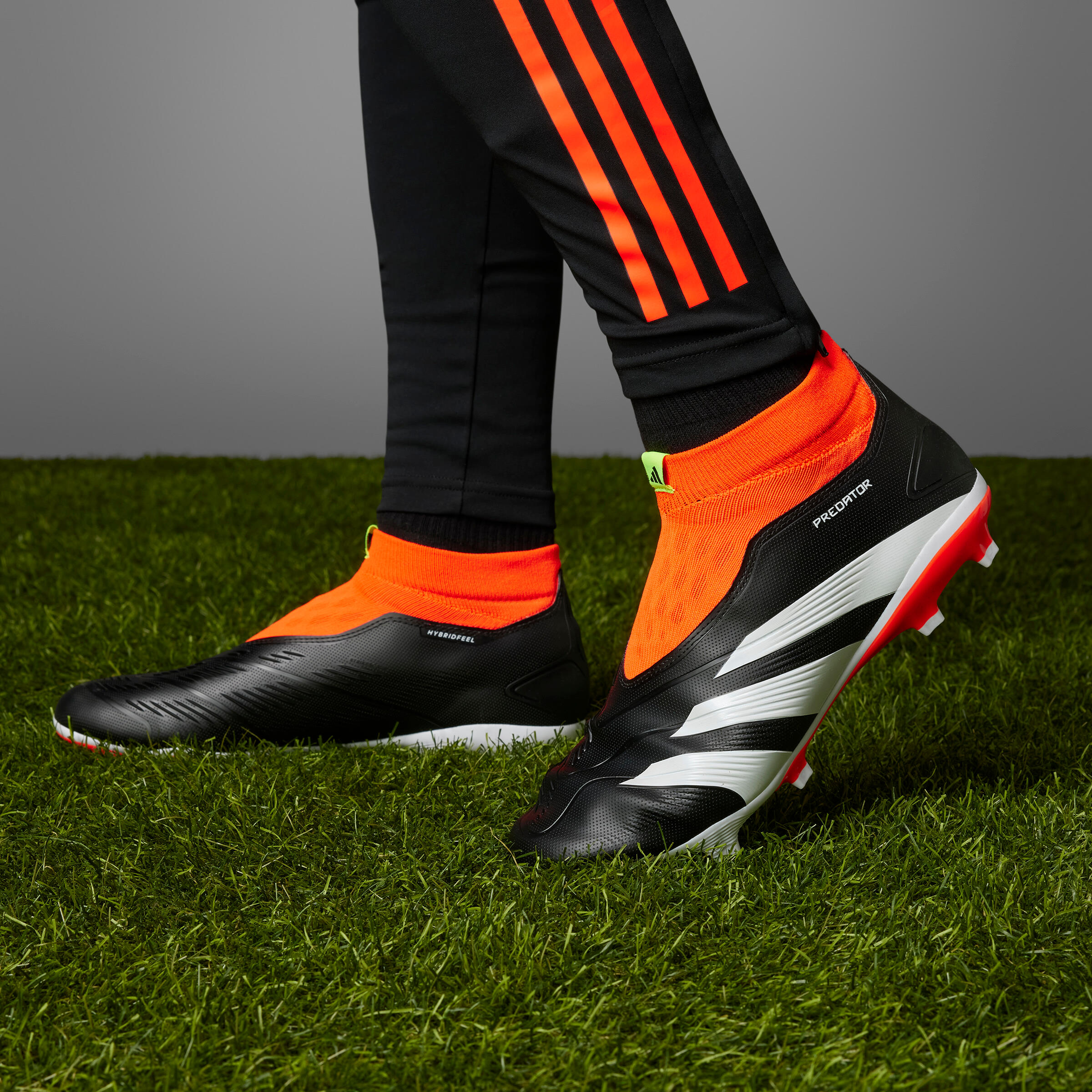 Chuteiras de futebol adidas Predator league Laceless Adulto 12/12